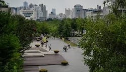 download - 2025-08-14T060512.784