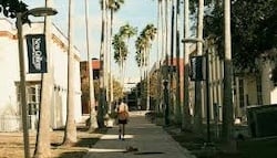 download - 2025-12-31T152553.848