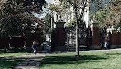 download - 2026-03-20T130221.456