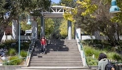 images - 2026-09-25T151351.230