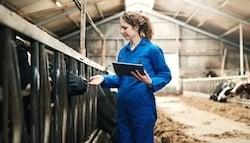 istockphoto-1185843579-612x612