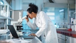 istockphoto-1453524892-612x612