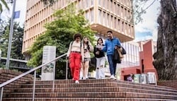 istockphoto-1479826941-612x612