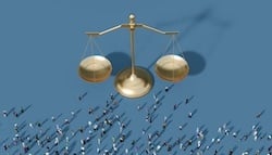 istockphoto-2164940975-612x612