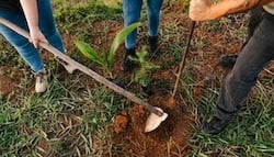 istockphoto-2166349288-612x612