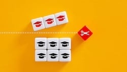 istockphoto-2221464016-612x612
