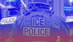 istockphoto-2258396150-612x612